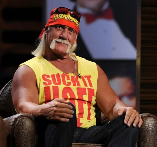 Hulk Hogan Vermögen Info