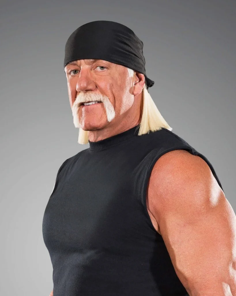 hulk hogan vermögen