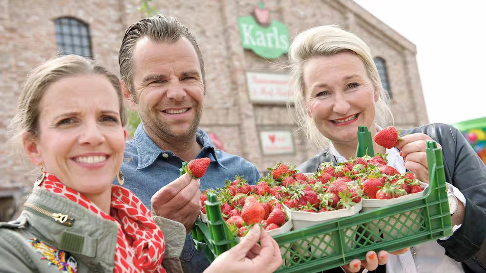 robert dahl vermögen Ernährung und Gesundheit