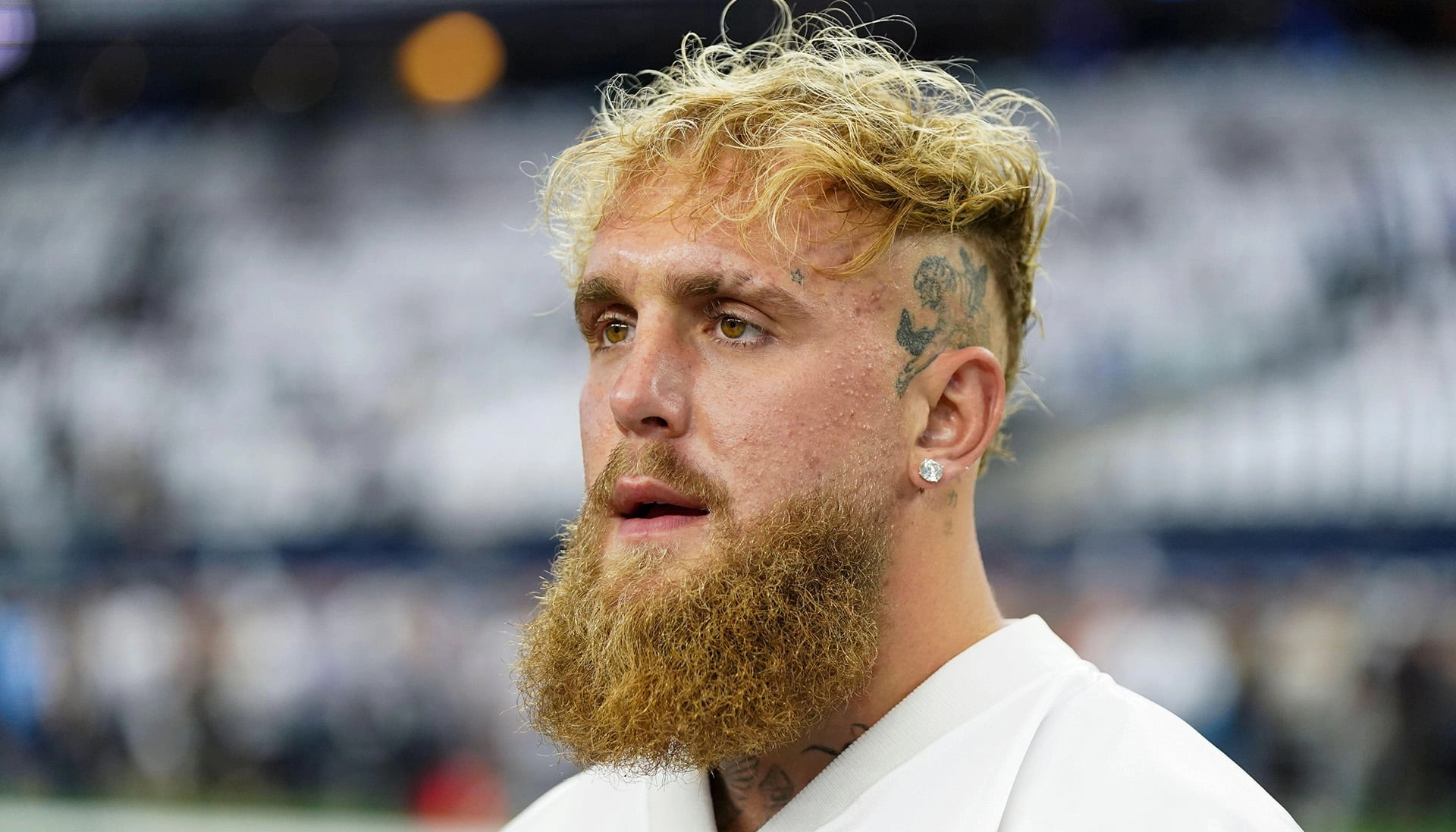 Jake Paul Vermögen: Einkommen, Karriere & Luxusleben