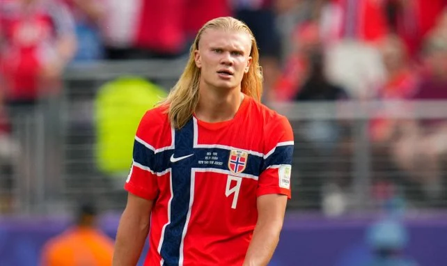 Erling Haaland Biografie und Karriere