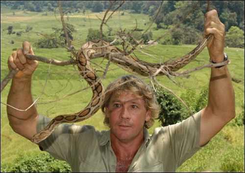 Tagesablauf von Steve Irwin